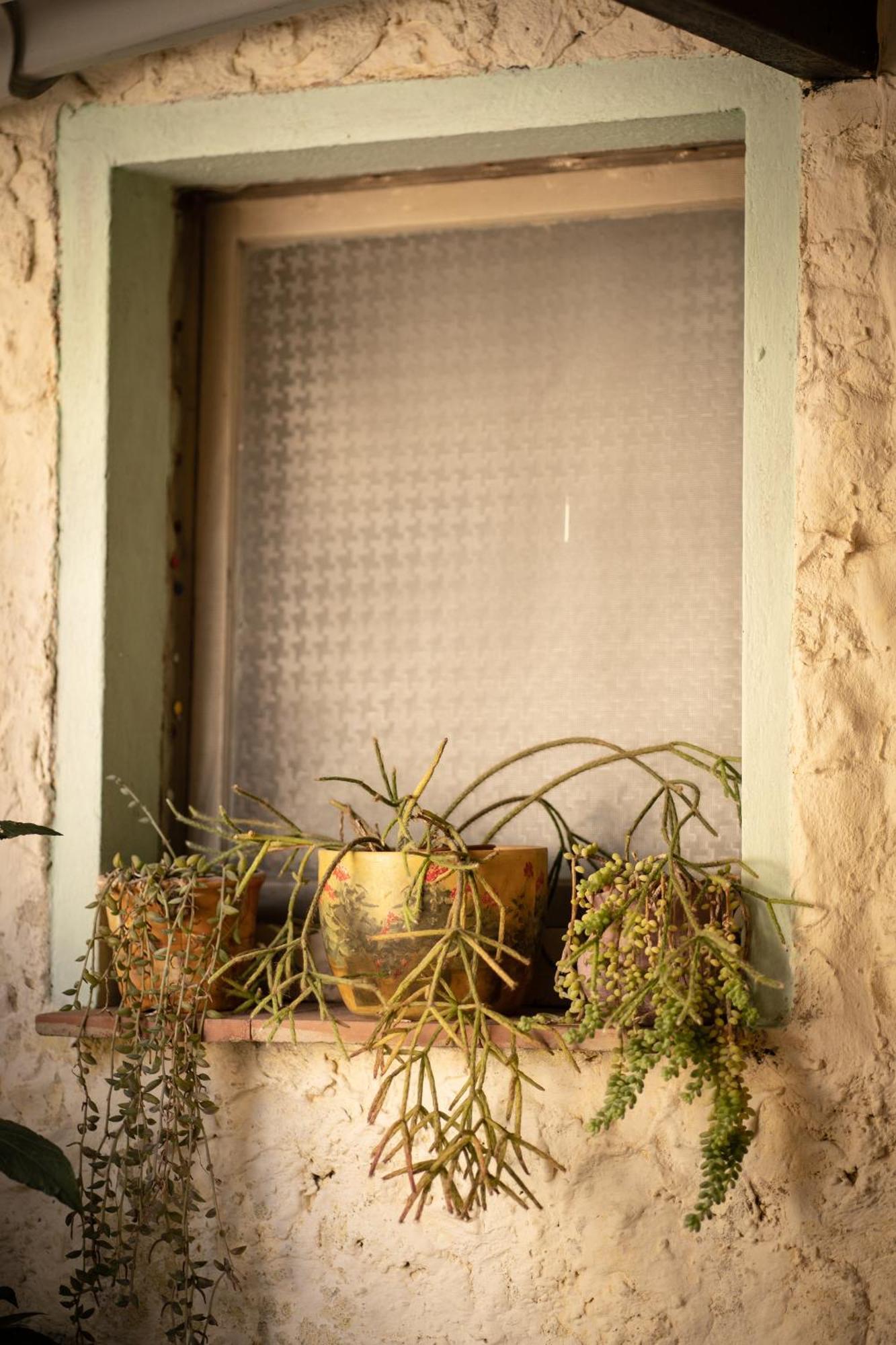 Sa Domu De Ladiri - Matrimoniale Con Giardino Musei Exterior foto